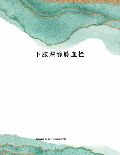 下肢深静脉血栓 2
