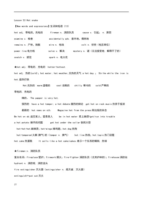 新概念英语第二册lesson53