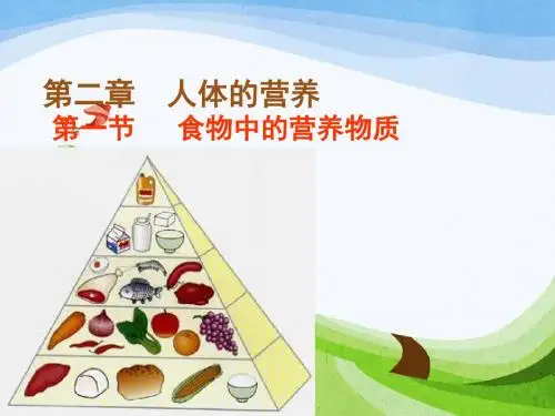 《食物中的营养物质》教学课件28 人教版