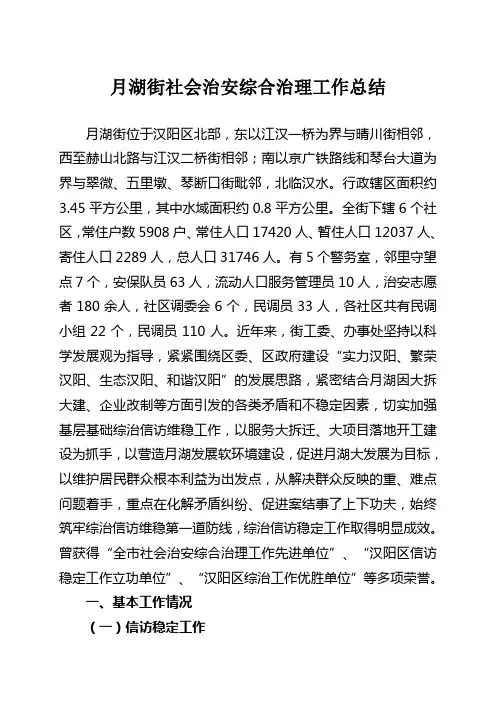 街道社会治安综合治理工作总结