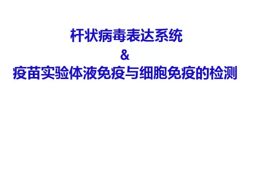 杆状病毒表达系统(昆虫细胞的培养及杆状病毒滴度测定)