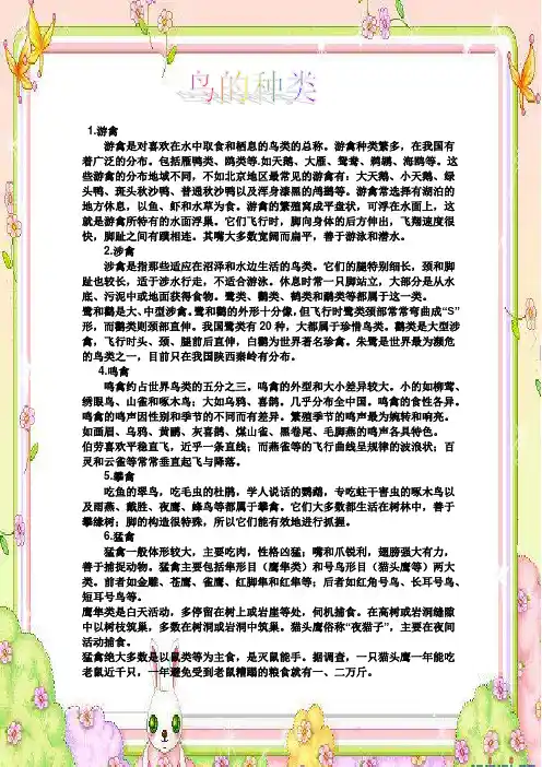 鸟的种类