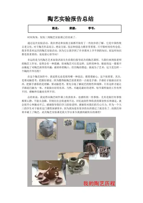 陶艺实验报告总结
