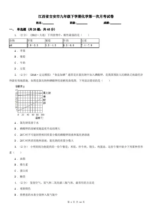 江西省吉安市九年级下学期化学第一次月考试卷