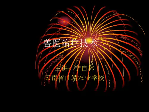 兽医治疗技术