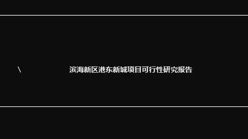 新城建设项目可行性研究报告(新修订)