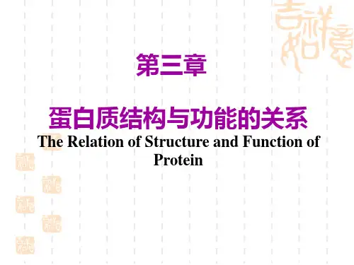 第三章课用蛋白质结构与功能的关系