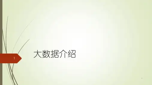 大数据的介绍PPT
