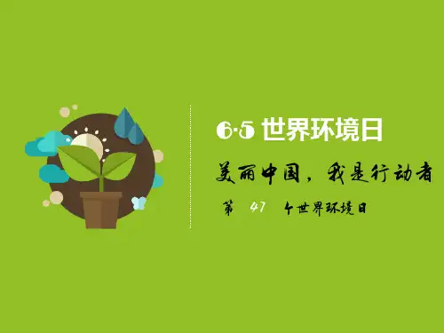 世界环境日宣传PPT(PPT43页)