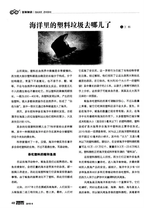 海洋里的塑料垃圾去哪儿了