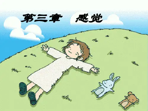 三章感觉