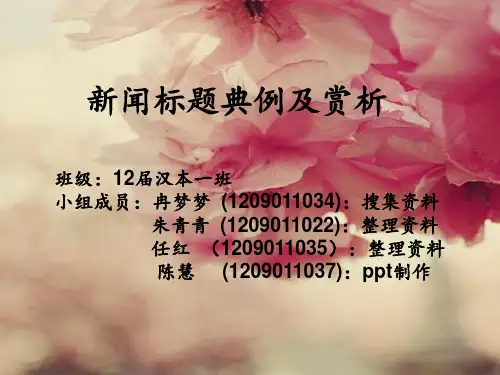 新闻标题典例