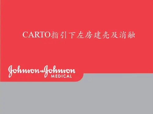 左房标测与消融教学幻灯片