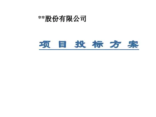 管理咨询——某公司项目投标方案资料重点