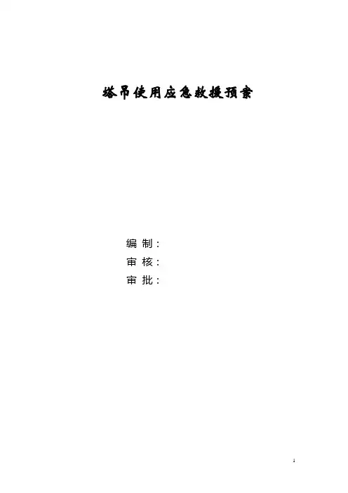 塔吊使用过程中的应急预案