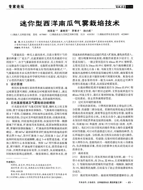 迷你型西洋南瓜气雾栽培技术
