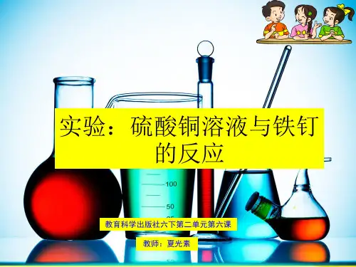硫酸铜溶液与铁定的反应