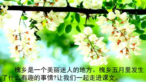 (2019春新版)苏教版三年级语文下册《26 槐乡五月》精品课件