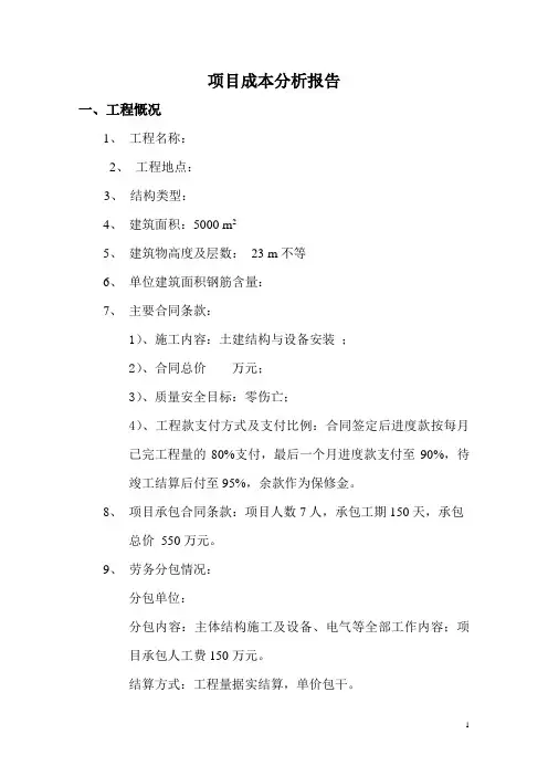 全套的项目成本分析报告