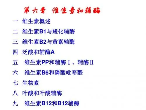 维生素和辅酶