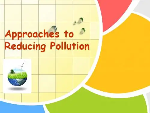 Approaches to Reducing Pollution