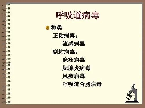 流感病毒简介
