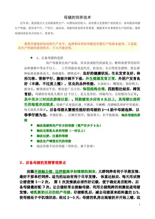 母猪的饲养技术
