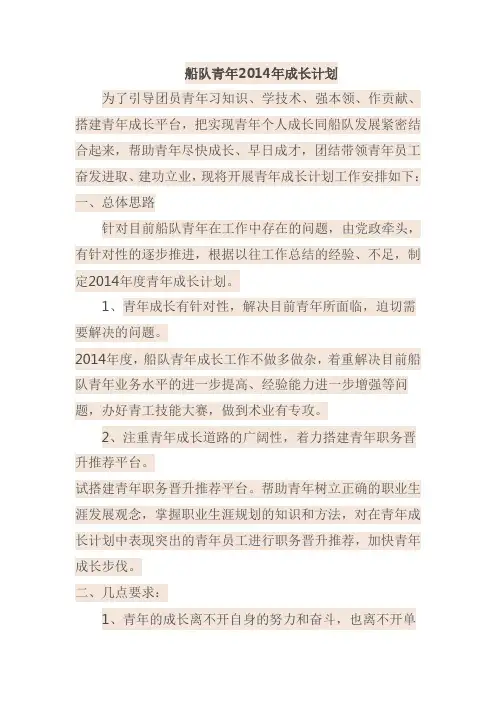 青年成才计划