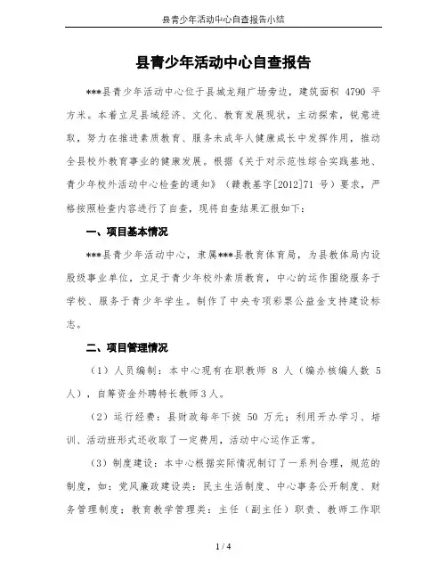 县青少年活动中心自查报告小结