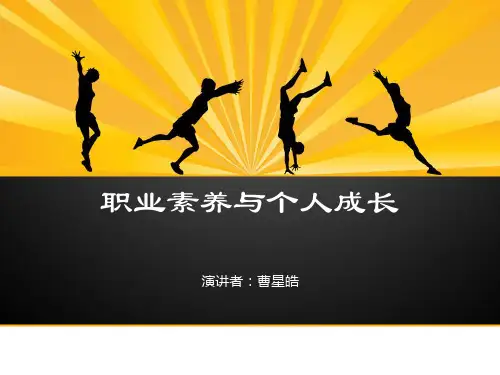 职业素养与个人成长
