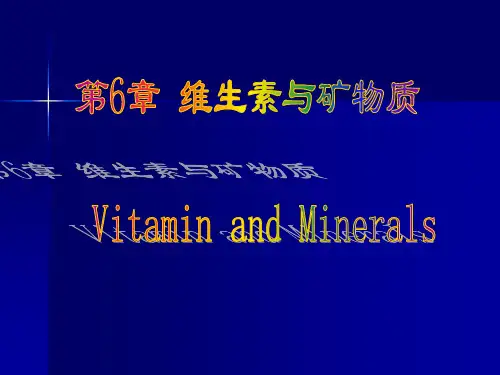 第6章 维生素与矿
