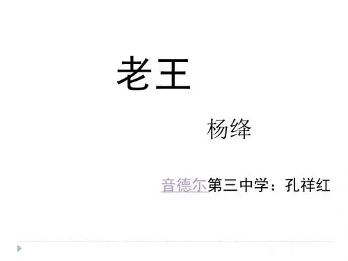 老王讲课用定稿