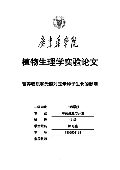 营养物质和光照对玉米种子生长的影响