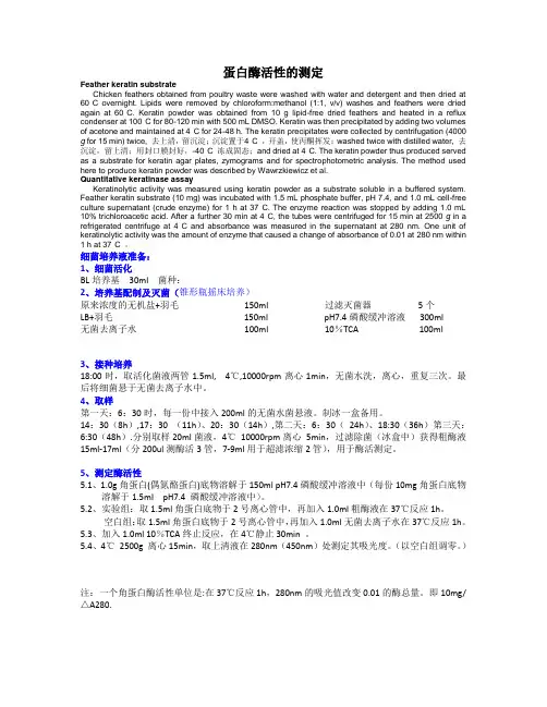 吸光度测定角蛋白酶活性