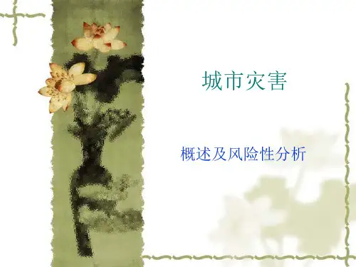城市灾害特点及风险分析-PPT精选文档