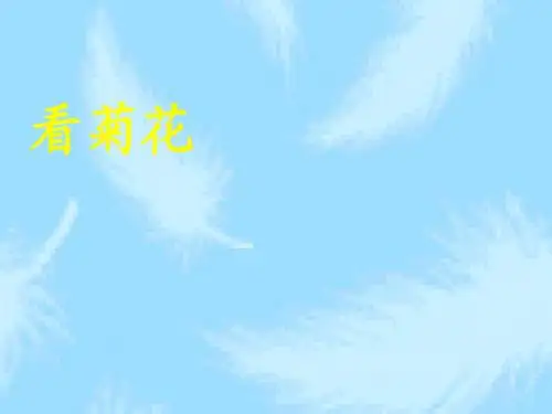 苏教版小学语文一年级上册课件第8课_看菊花