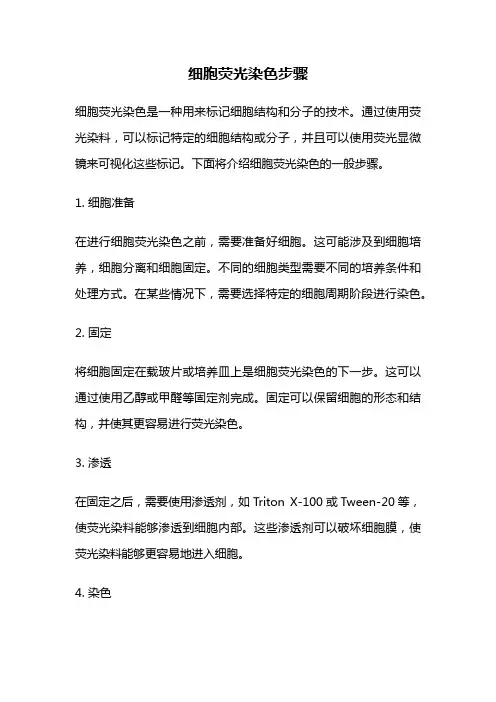 细胞荧光染色步骤