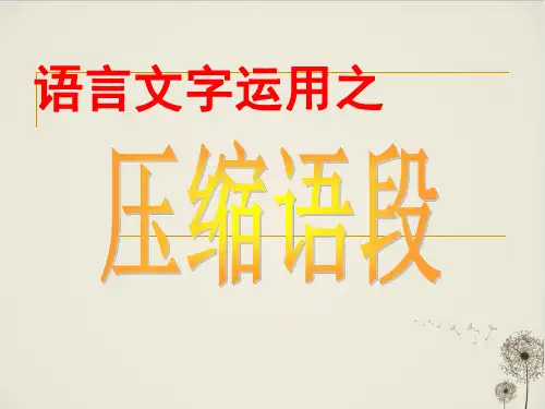 高三语文复习课件：压缩语段PPT课件