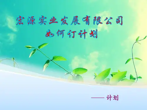 宏远实业公司案例分析