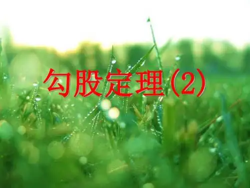 勾股定理2