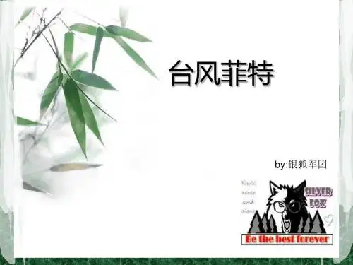 台风之夜