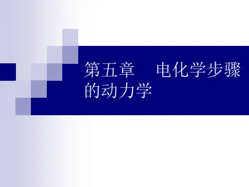 第五章    电化学步骤的动力学