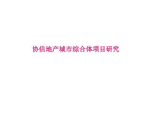 城市综合体项目分析