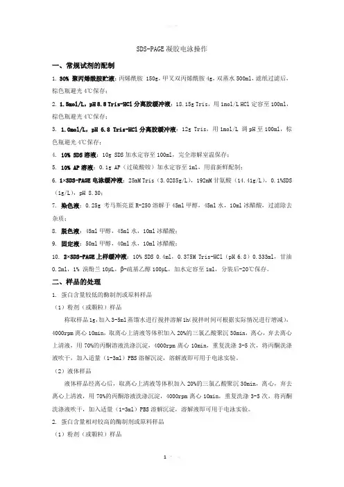 SDS-PAGE凝胶电泳操作