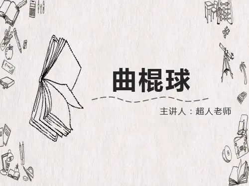 乐高——曲棍球