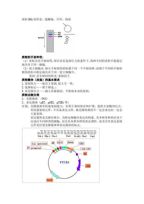 生物基因工程复习要点考试必备资料