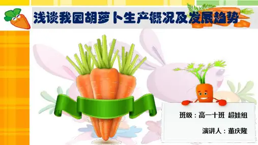 浅谈我国胡萝卜生产概况及发展趋势