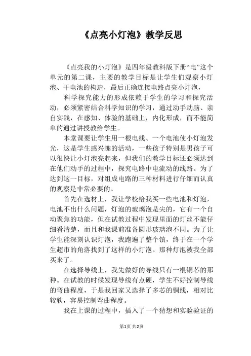 《点亮小灯泡》教学反思