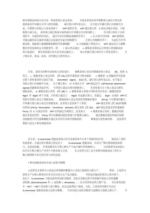 (完整版)酵母细胞