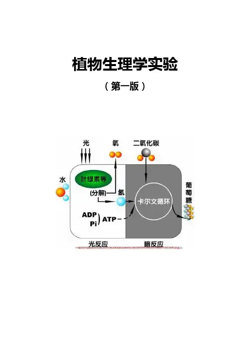 植物生理学实验讲义